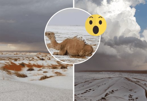 ¡Insólito! por primera vez, cae nieve en el desierto de Arabia Saudita: ¿cuál es la explicación?