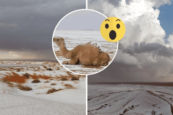 ¡Insólito! por primera vez, cae nieve en el desierto de Arabia Saudita: ¿cuál es la explicación?