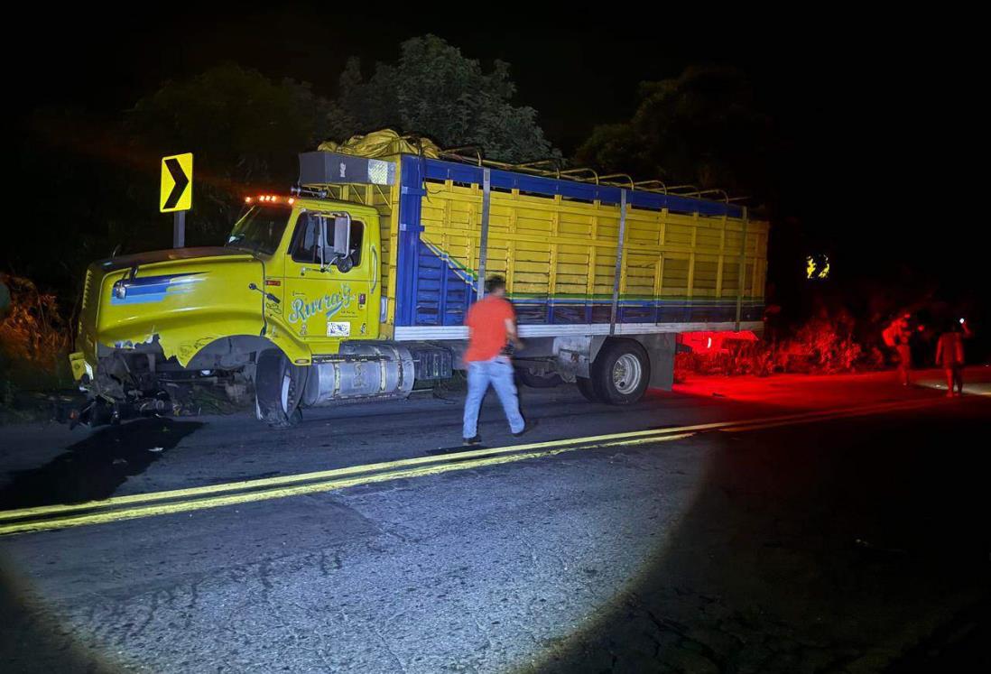 Motociclista pierde la vida al chocar con un camión con ganado