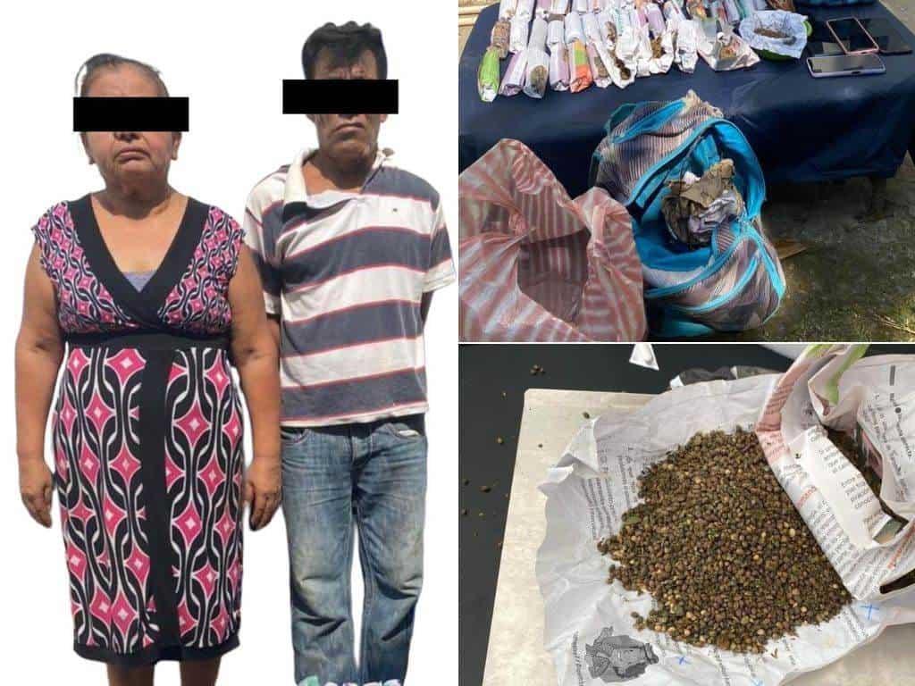 Pareja capturada por posesión y venta de marihuana en Sochiapan 