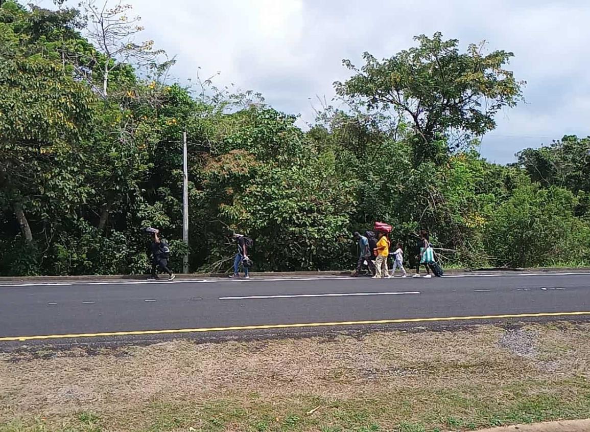 Controles en la carretera Costera del Golfo no frenan flujo migratorio