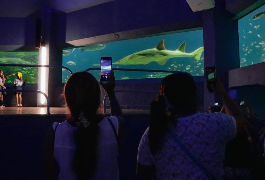 Acuario de Veracruz recibió de forma gratuita a 9 mil niños de diferentes municipios