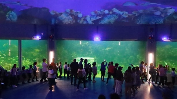 Acuario de Veracruz recibió de forma gratuita a 9 mil niños de diferentes municipios