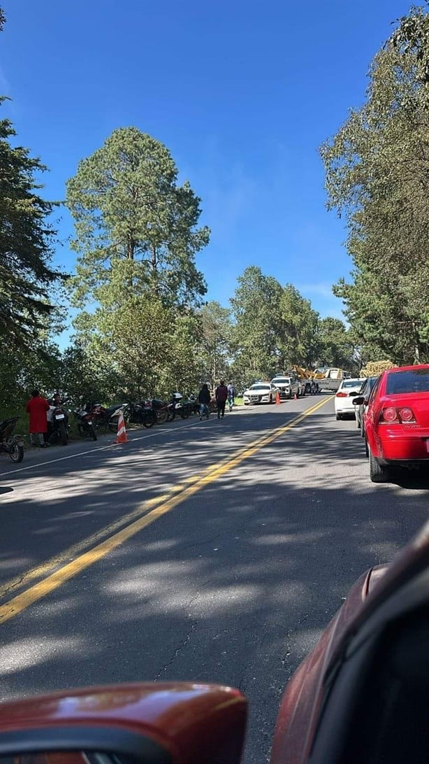 Tráiler pierde el control en peligrosa curva y termina en barranca en la Xalapa-Perote