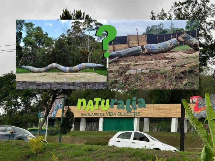 ¿Qué pasó con Coatl? Escultura de serpiente emplumada destruida en Parque Natura de Xalapa (+VIDEO)