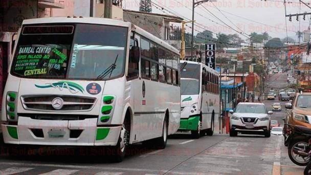 Café Jarocho: Las necesidades del transporte en Veracruz