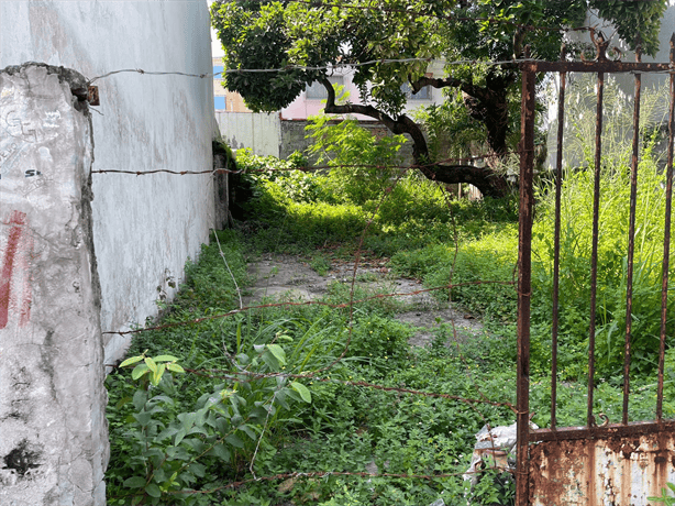 Vecinos del fraccionamiento Moderno exigen limpieza de lotes baldíos