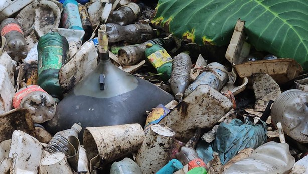 Hay hasta un cocodrilo; alertan por contaminación en arroyo de Poza Rica