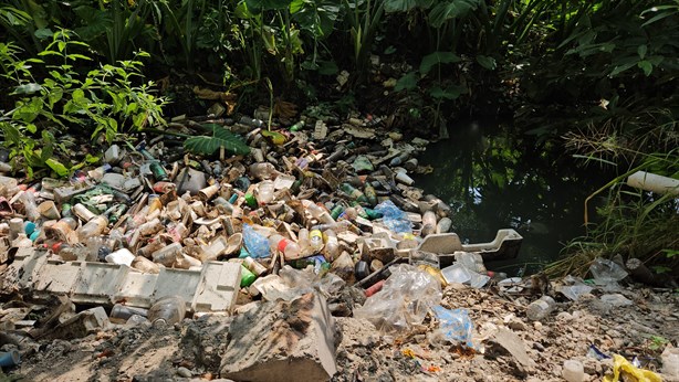 Hay hasta un cocodrilo; alertan por contaminación en arroyo de Poza Rica