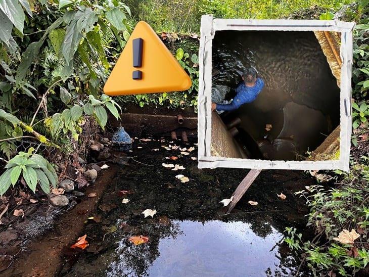 Alarma en Misantla por disminución de agua en el manantial de La Lima; urge tomar medidas