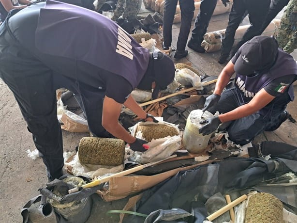 Marina asegura más de 750 kilos de marihuana en el Recinto Portuario de Veracruz