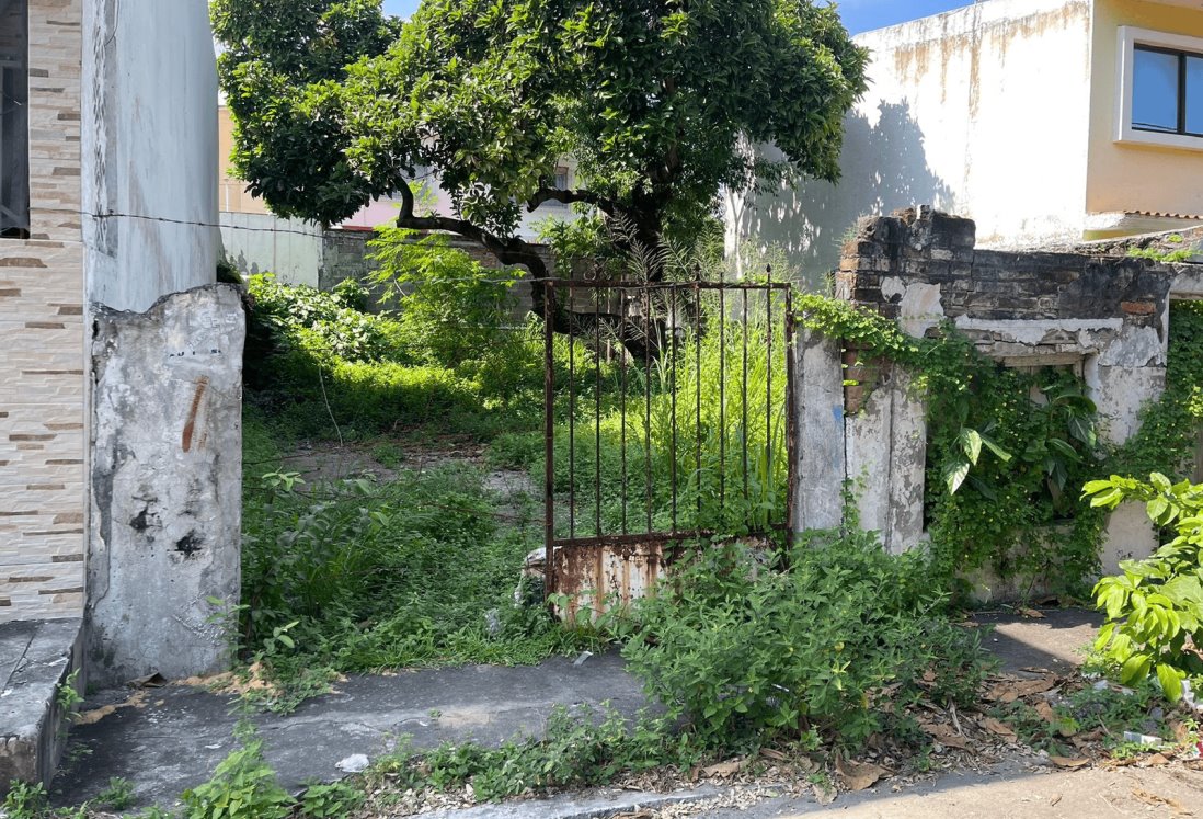 Vecinos del fraccionamiento Moderno exigen limpieza de lotes baldíos