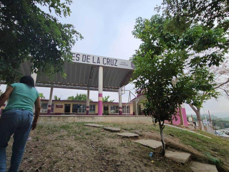 Larvas invaden árboles en escuelas de Poza Rica