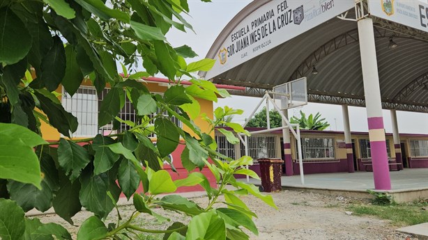 Larvas invaden árboles en escuelas de Poza Rica