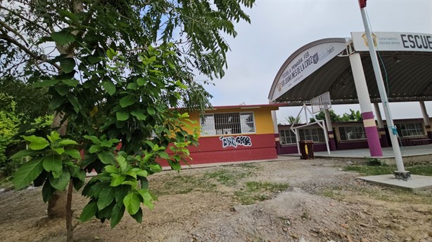 Larvas invaden árboles en escuelas de Poza Rica