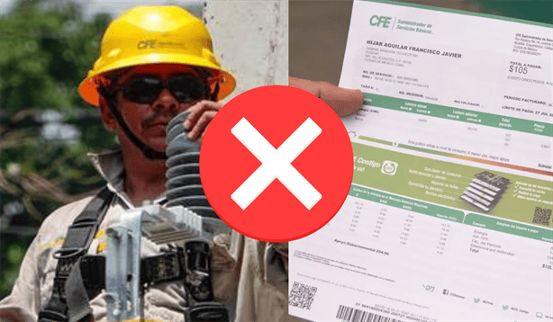 CFE: ¿Quiénes NO pagarán recibo de luz este mes de noviembre?