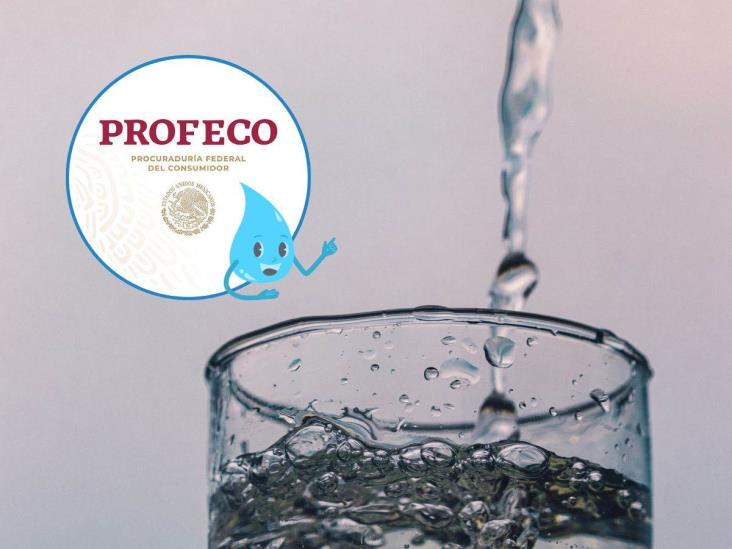 Profeco te dice cómo hacer un filtro para agua casero