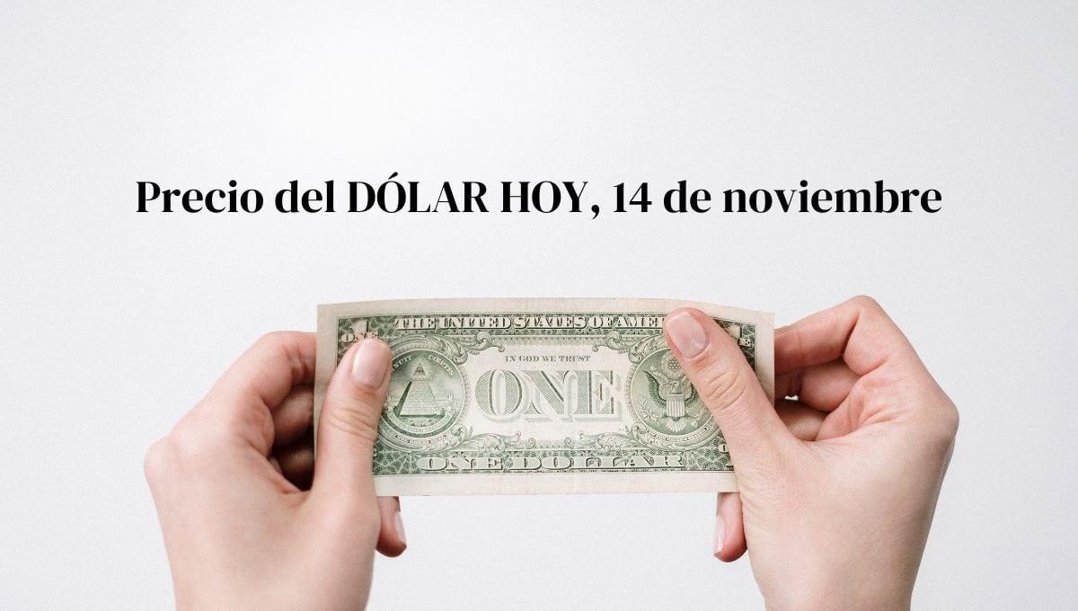 Dólar HOY: así se cotiza frente al peso este 14 de noviembre