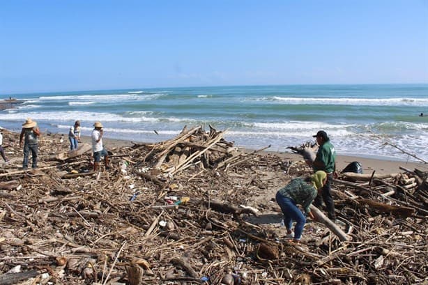 ¡Al fin! Realizan jornada de limpieza en esta playa de Cazones