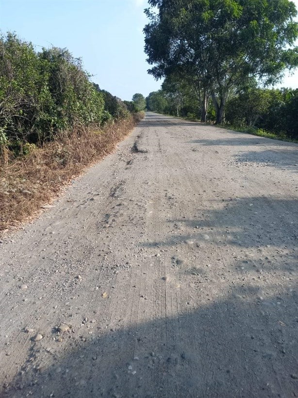 Carretera en Misantla está destruida y es un riesgo para la economía de los habitantes