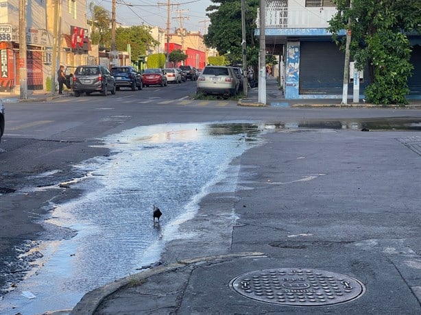 Alertan sobre fuga de aguas negras en colonia Díaz Mirón, en Veracruz