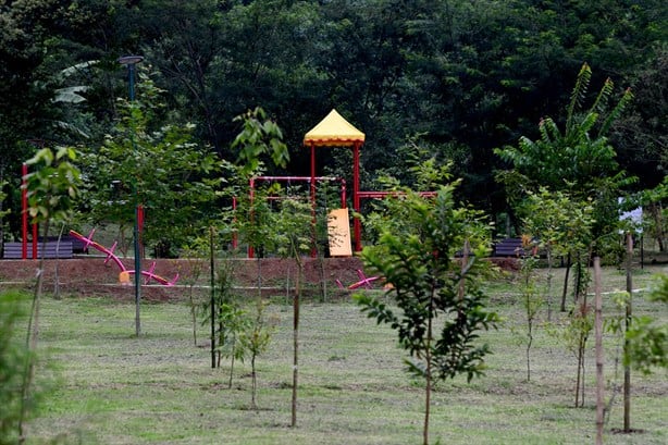 Parque Barranca Honda de Xalapa, nuevo espacio recreativo natural