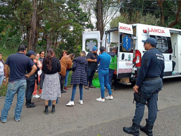 Cuatro maestros heridos tras volcadura de auto en Teocelo