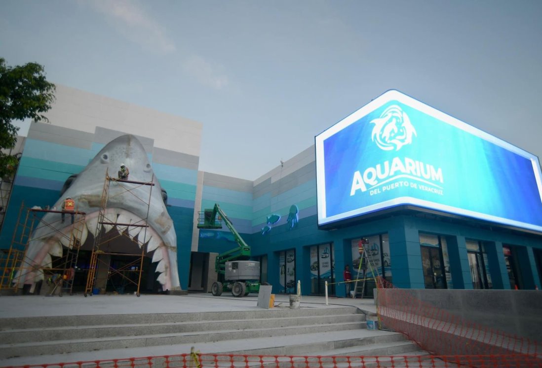 Este es el programa de conciertos de artistas por el aniversario del Aquarium de Veracruz