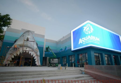 Este es el programa de conciertos de artistas por el aniversario del Aquarium de Veracruz