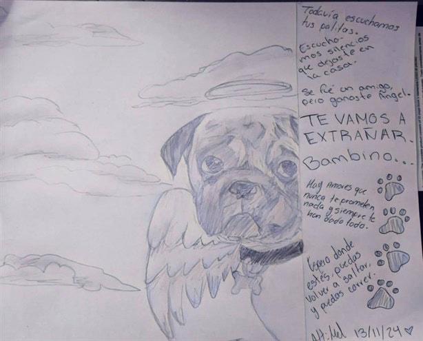 Niña de Nanchital hace conmovedor dibujo de Bambino, su perrito fallecido