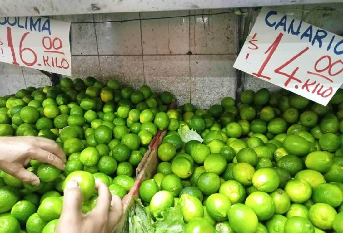 Conoce el precio de los cítricos en la zona de mercados de Veracruz