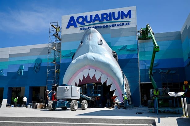 Reinauguran el Acuario de Veracruz con la llegada de delfines y lobos marinos | VIDEO