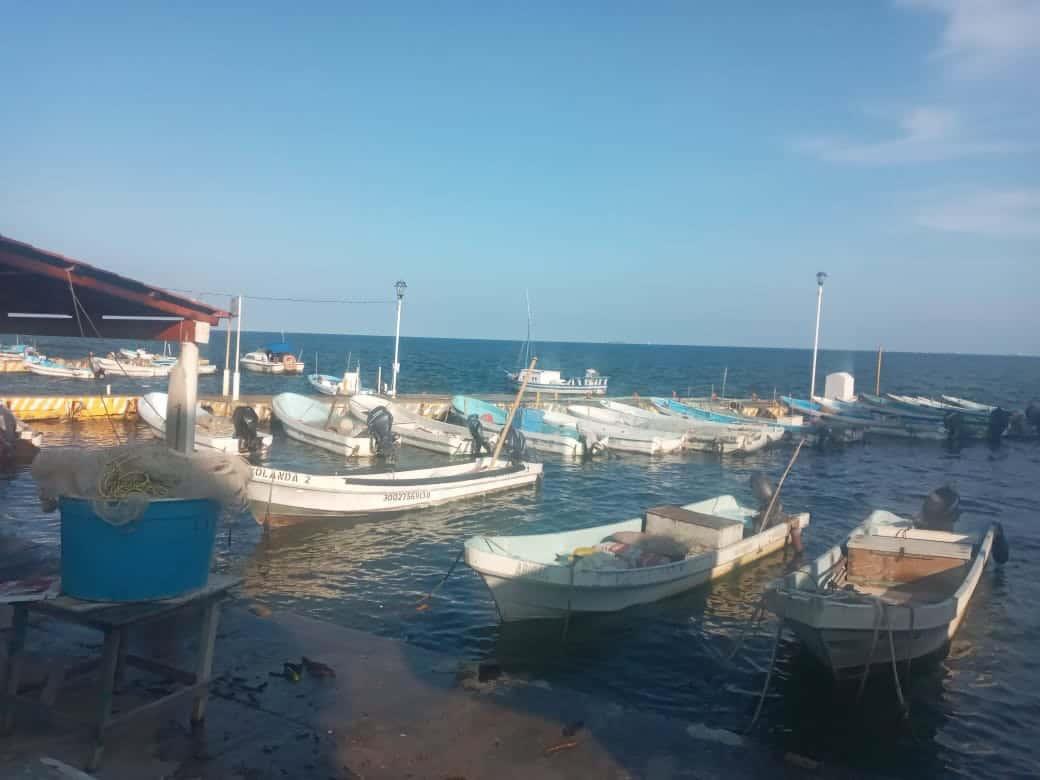 Crece nivel del mar en playas de Veracruz; pescadores peligran por intensa marejada | VIDEO