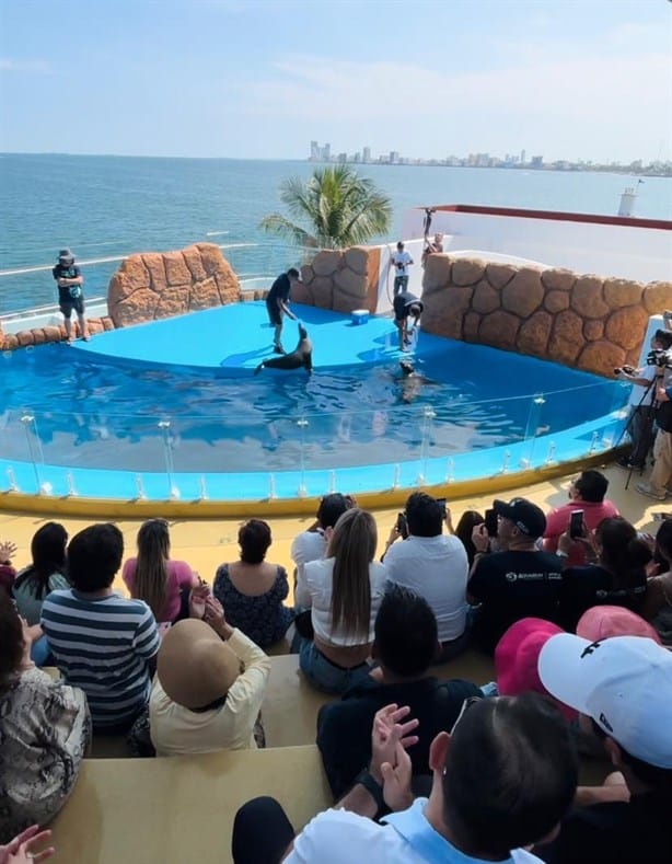 Así era el Aquarium de Veracruz la primera vez que se inauguró en 1992 | Fotos