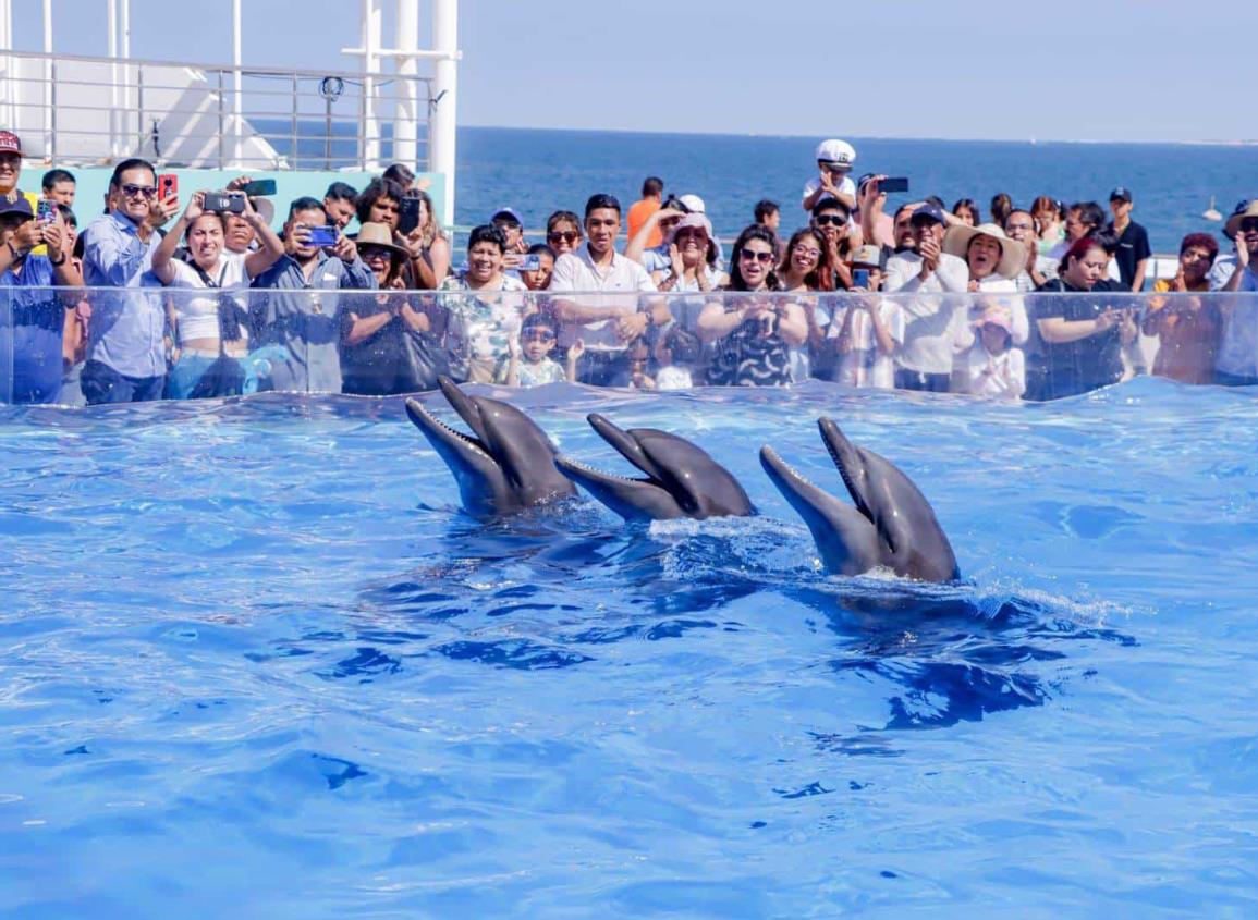 De 1992 a un Acuario de primera con la 4T