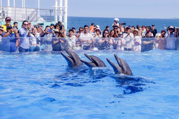 De 1992 a un Acuario de primera con la 4T
