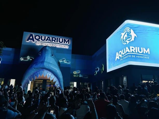 Así era el Aquarium de Veracruz la primera vez que se inauguró en 1992 | Fotos