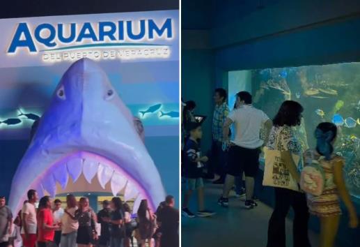 Aquarium de Veracruz es reinaugurado; tiene una megapantalla y es el más grande de Latinoamérica