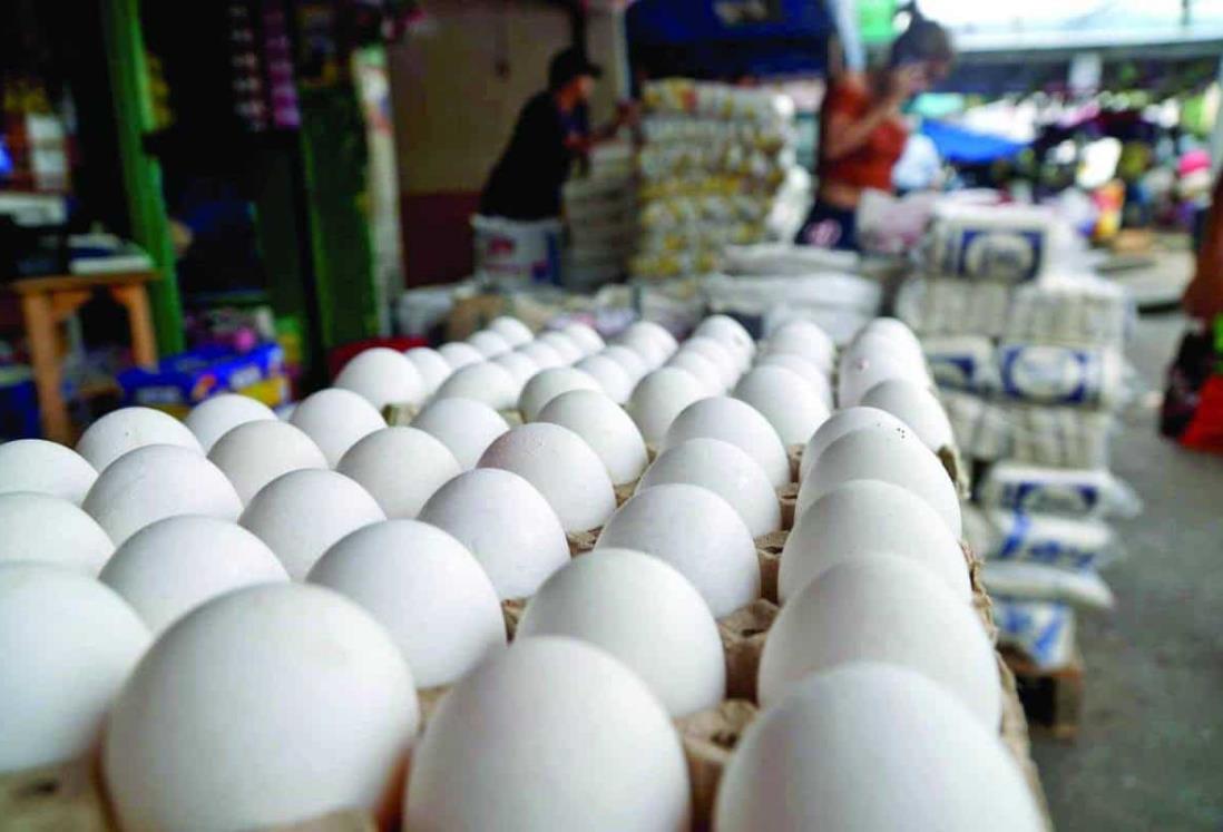 Baja precio del cartón de huevos en mercados de Veracruz