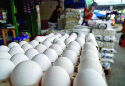 Baja precio del cartón de huevos en mercados de Veracruz
