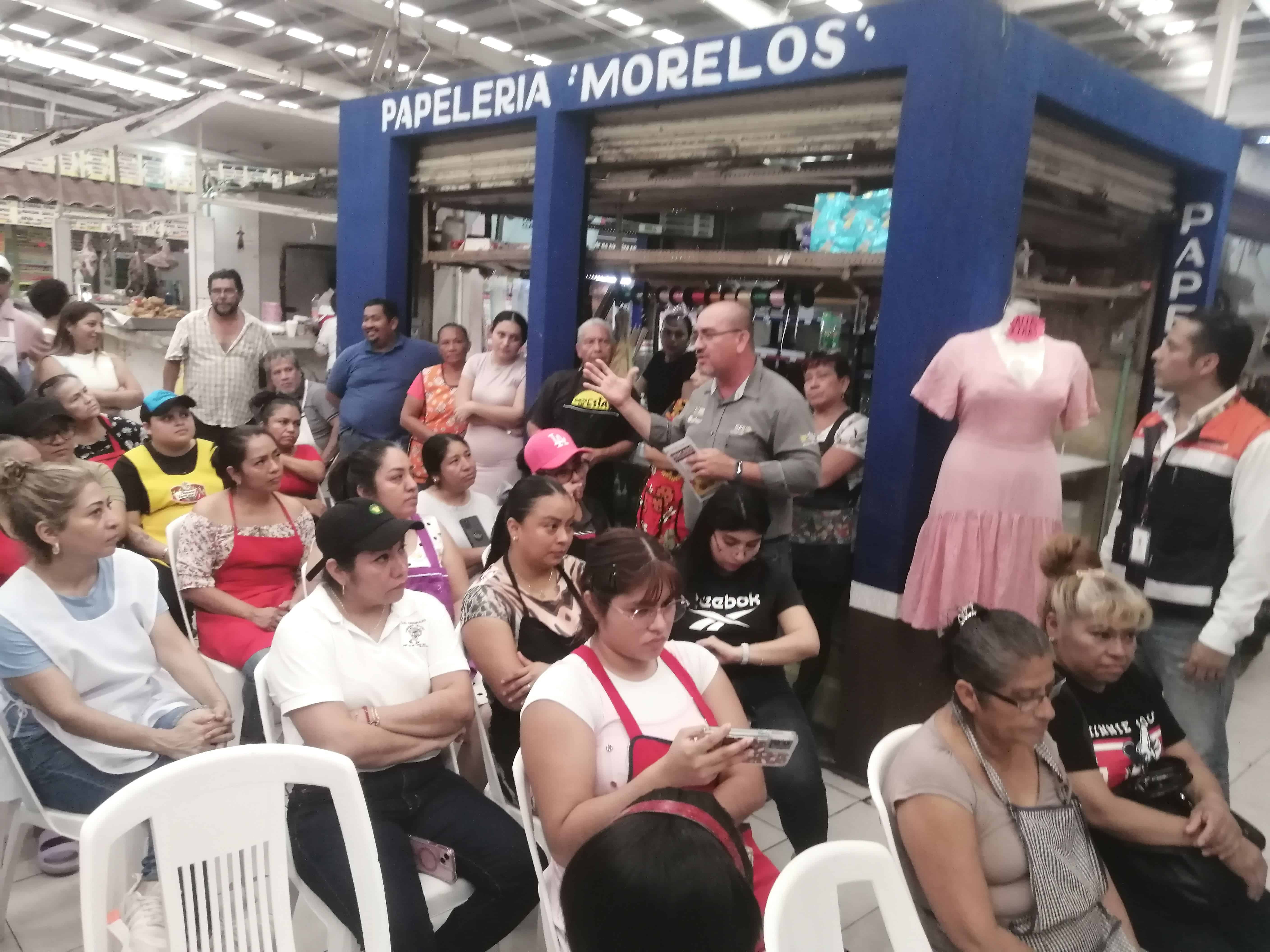 Así solucionarán la presencia de gatos en el mercado Morelos | VIDEO