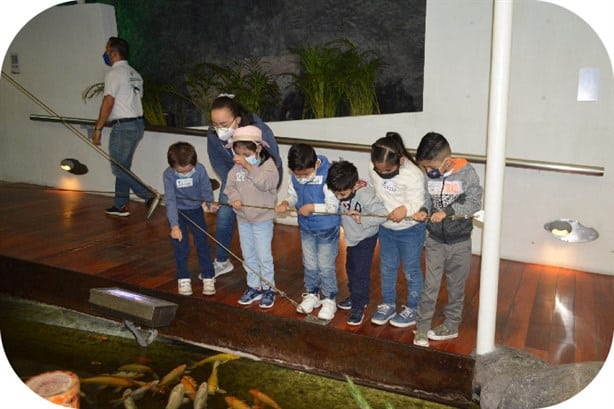 Aquarium de Veracruz: ¿Cuáles son las 3 mejores atracciones para niños? | Precios