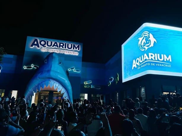 Aquarium de Veracruz es reinaugurado; tiene una megapantalla y es el más grande de Latinoamérica