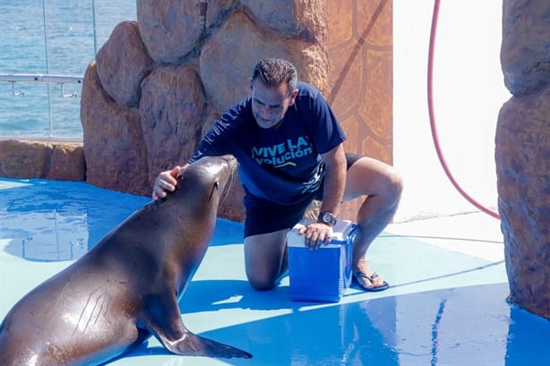 El Aquarium de Veracruz y otros 3 de México que todos deben visitar | VIDEO