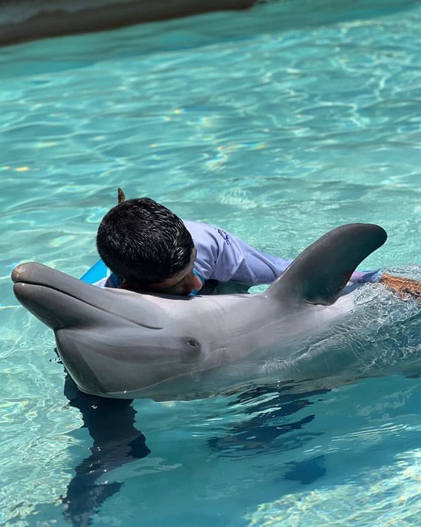 El Aquarium de Veracruz y otros 3 de México que todos deben visitar | VIDEO