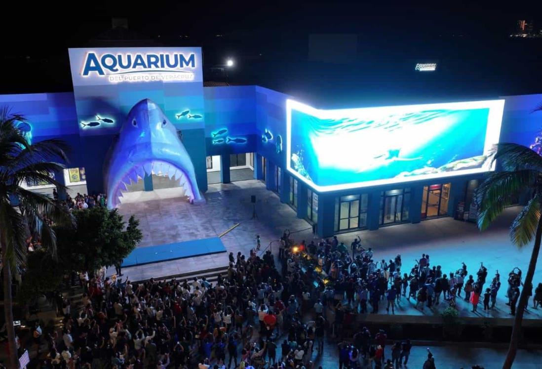 Aquarium de Veracruz: Cuánto dura el recorrido y qué especies ver