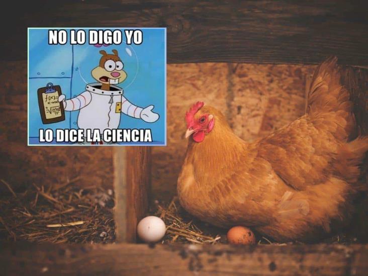 ¿Fue primero el huevo o la gallina?; la ciencia ya lo habría resuelto