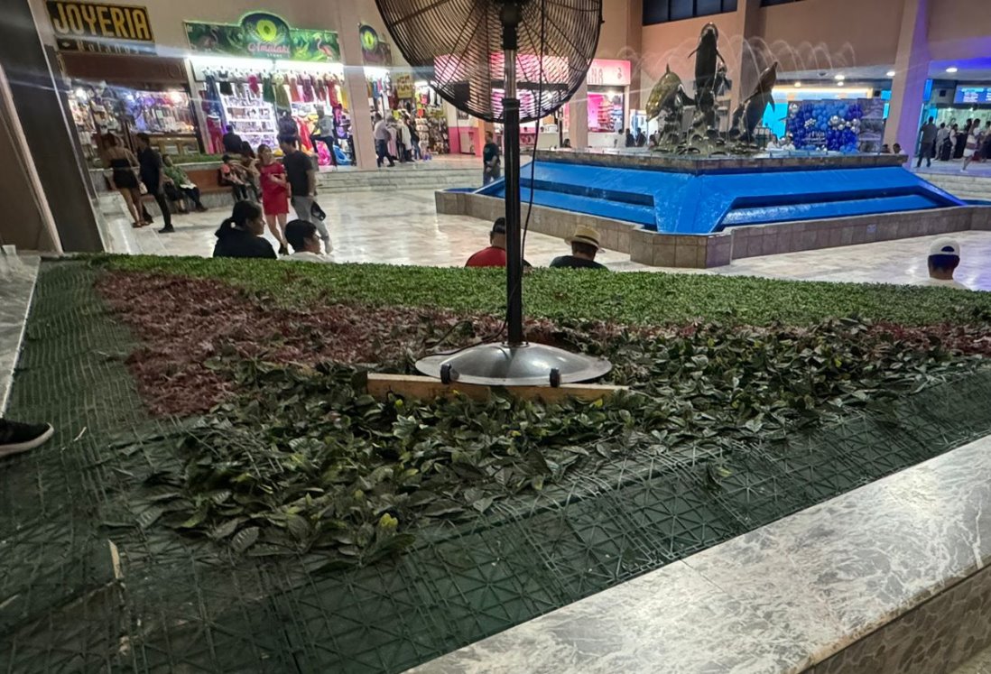 Usuarios critican abandono de Plaza Acuario tras remodelación del Aquarium de Veracruz