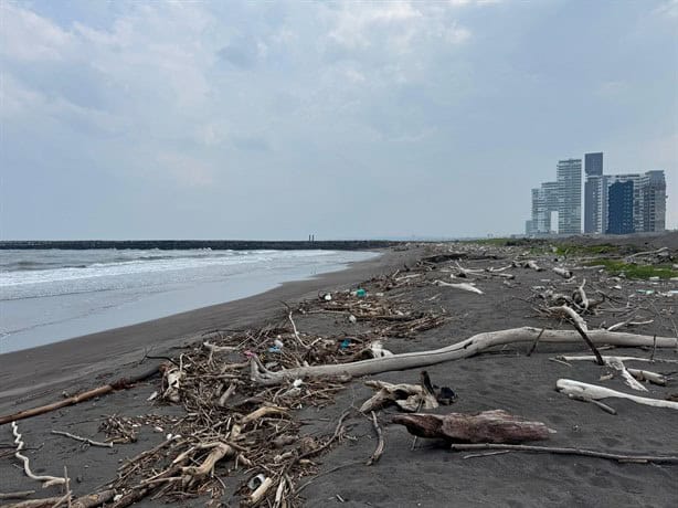 Acusan presunta contaminación en playas de la Riviera Veracruzana