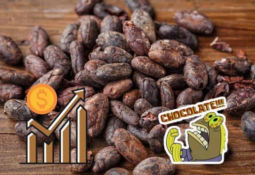 ¿Subirá el chocolate? Precios del cacao aumentaron en Veracruz por esta razón